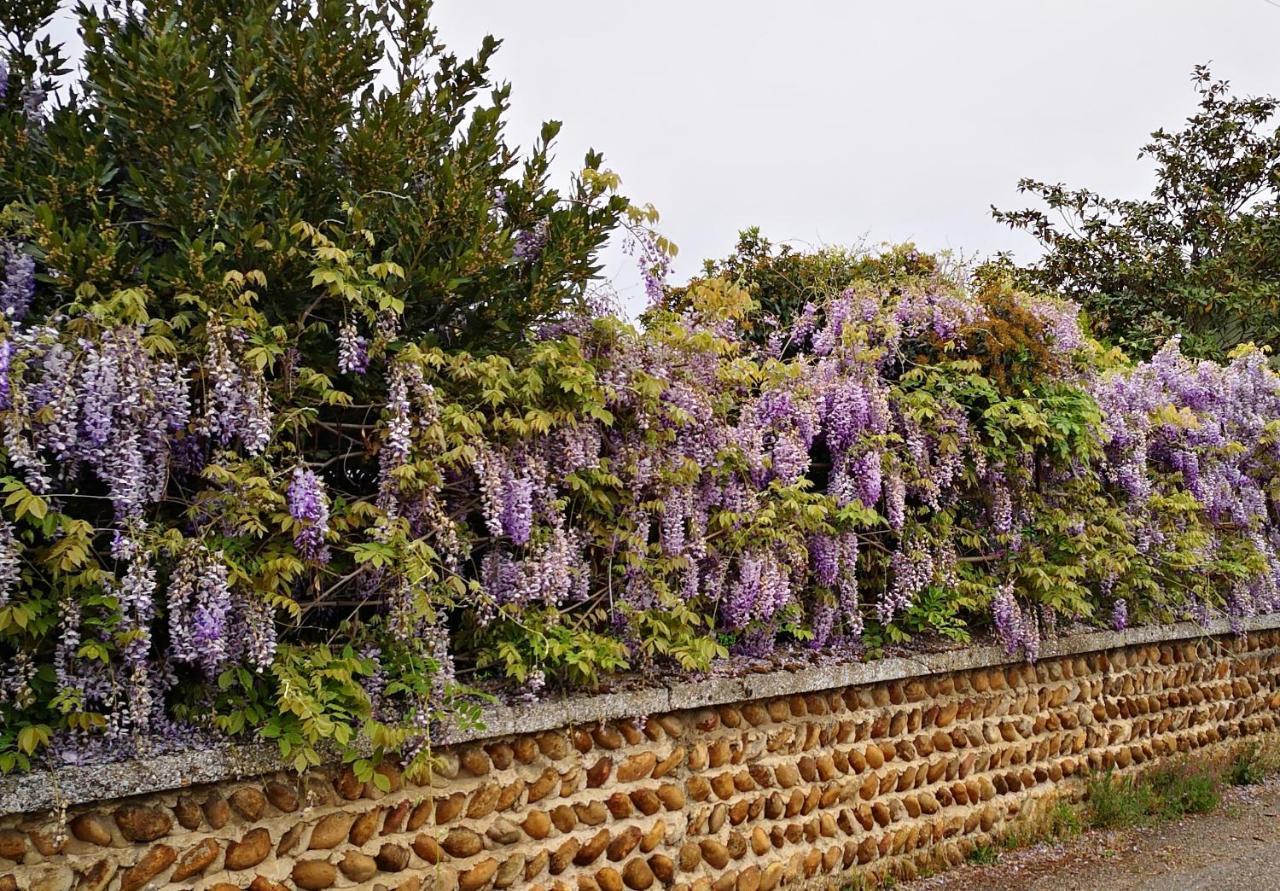 Comme A La Maison Clonas-sur-Vareze ภายนอก รูปภาพ
